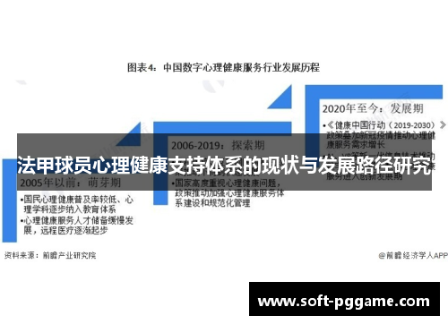 法甲球员心理健康支持体系的现状与发展路径研究