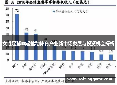 女性足球崛起推动体育产业新市场发展与投资机会探析