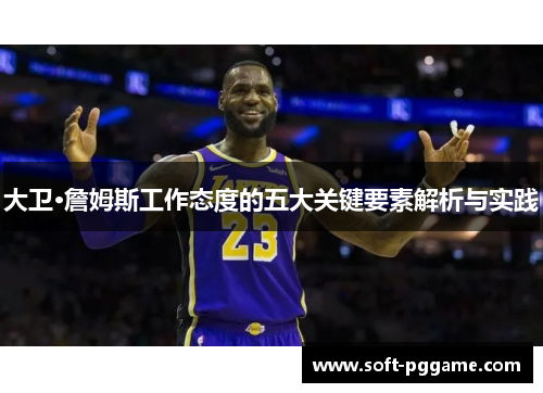 大卫·詹姆斯工作态度的五大关键要素解析与实践