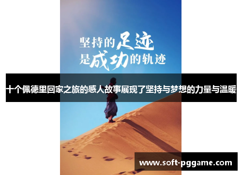 十个佩德里回家之旅的感人故事展现了坚持与梦想的力量与温暖