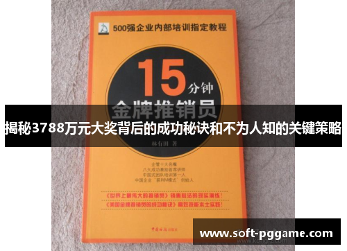 揭秘3788万元大奖背后的成功秘诀和不为人知的关键策略