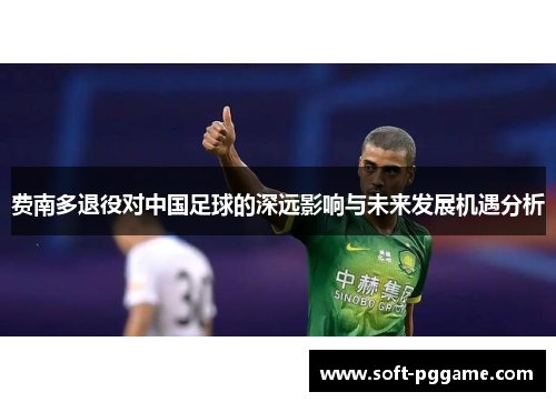 费南多退役对中国足球的深远影响与未来发展机遇分析