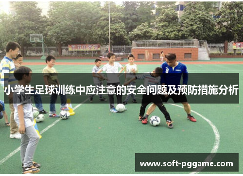 小学生足球训练中应注意的安全问题及预防措施分析