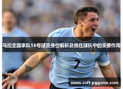 乌拉圭国家队16号球员身份解析及他在球队中的重要作用 乌拉圭国家队16号球员身份解析及他在球队中的重要作用