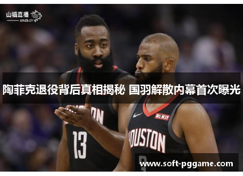 陶菲克退役背后真相揭秘 国羽解散内幕首次曝光 陶菲克退役背后真相揭秘 国羽解散内幕首次曝光