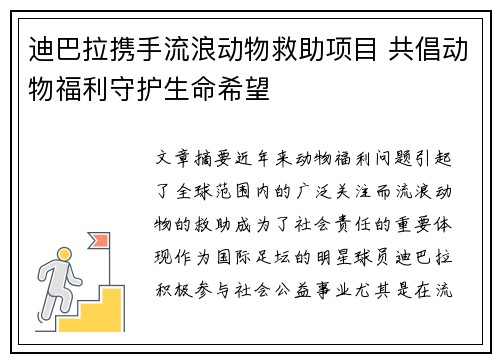 迪巴拉携手流浪动物救助项目 共倡动物福利守护生命希望