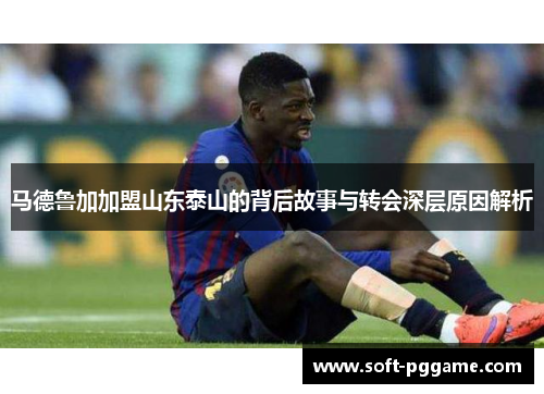 马德鲁加加盟山东泰山的背后故事与转会深层原因解析