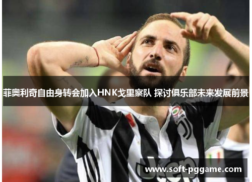 菲奥利奇自由身转会加入HNK戈里察队 探讨俱乐部未来发展前景 菲奥利奇自由身转会加入HNK戈里察队 探讨俱乐部未来发展前景